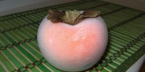 Smrznuti dragun: koristi i šteti tijelu, gubi svojstva ili ne